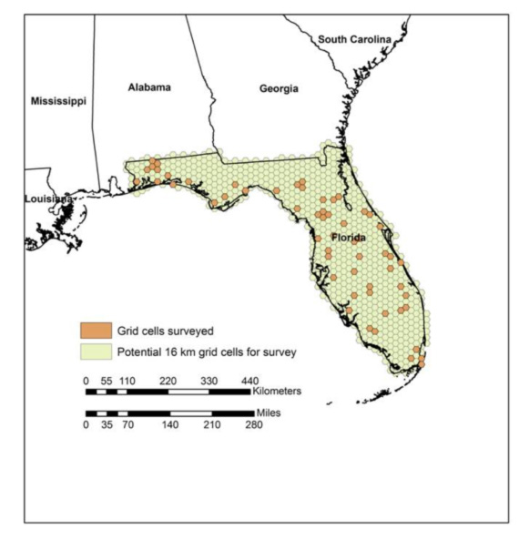 The distribution of 63 Nightjar survey routes conducted in Florida 2007-2010 (areas colored orange)  within 16-km hexagonal grid cells
