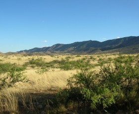 Dragoon Survey Route, AZ - Janine McCabe