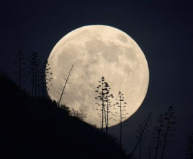 Bad Moon Rising; The 2015 Survey Dates are Selected